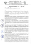 Vista preliminar de documento 856-2024-MPJA