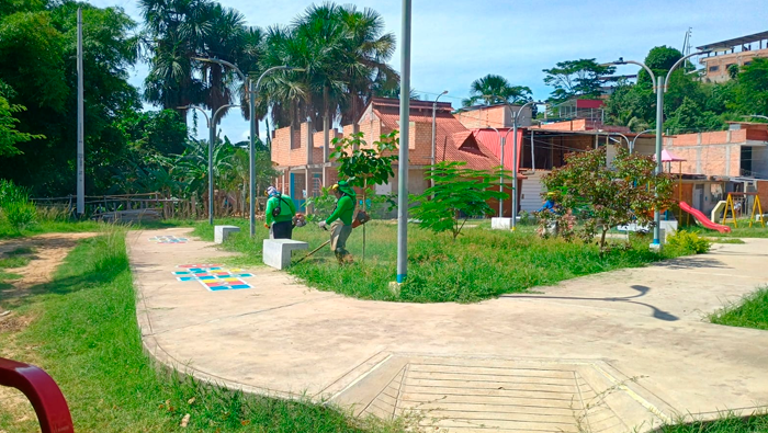 Mantenimiento de Γ‘reas verdes en diferentes puntos de la ciudad de Tarapoto.
