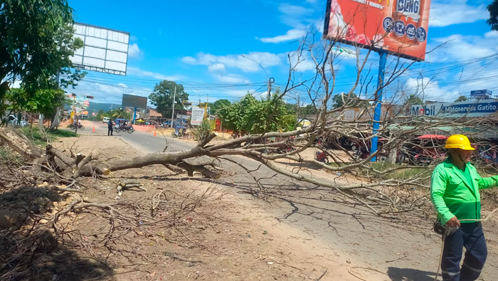 Mantenimiento de Γ‘reas verdes en diferentes puntos de la ciudad de Tarapoto.