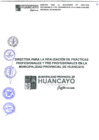 Vista preliminar de documento DIRECTIVA PARA LA REALIZACION DE PRACTICAS PROFESIONALES Y PREPROFESIONALES