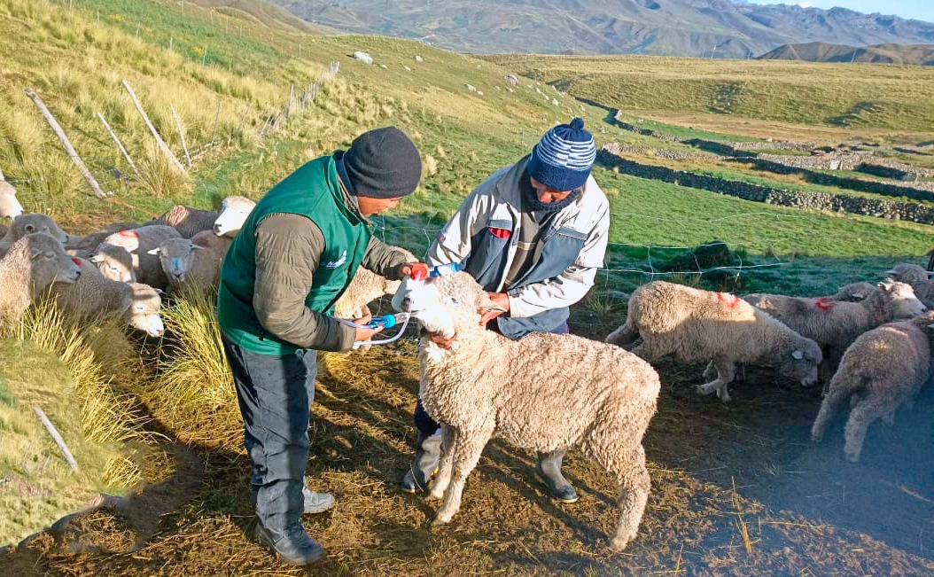 AGRO RURAL