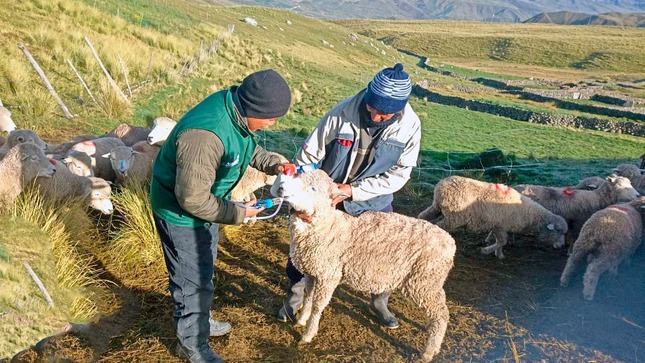AGRO RURAL