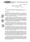 Vista preliminar de documento RD-419-2024-DE-HEVES