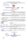Vista preliminar de documento Resolución Directoral N° 2867 - 2024