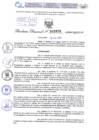 Vista preliminar de documento Resolución Directoral N° 2870 - 2024
