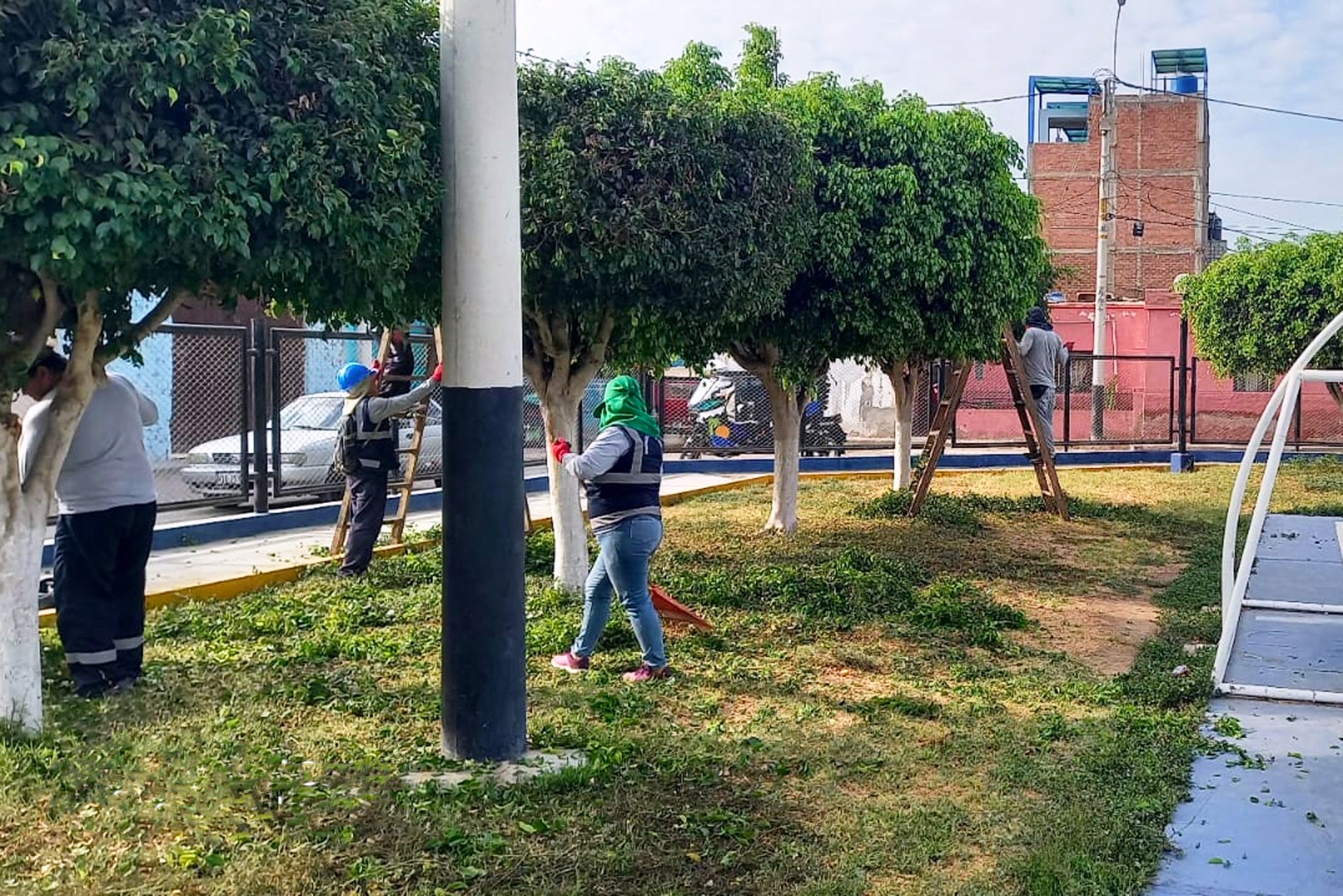¡Continuamos atendiendo nuestros Parques y Jardines!