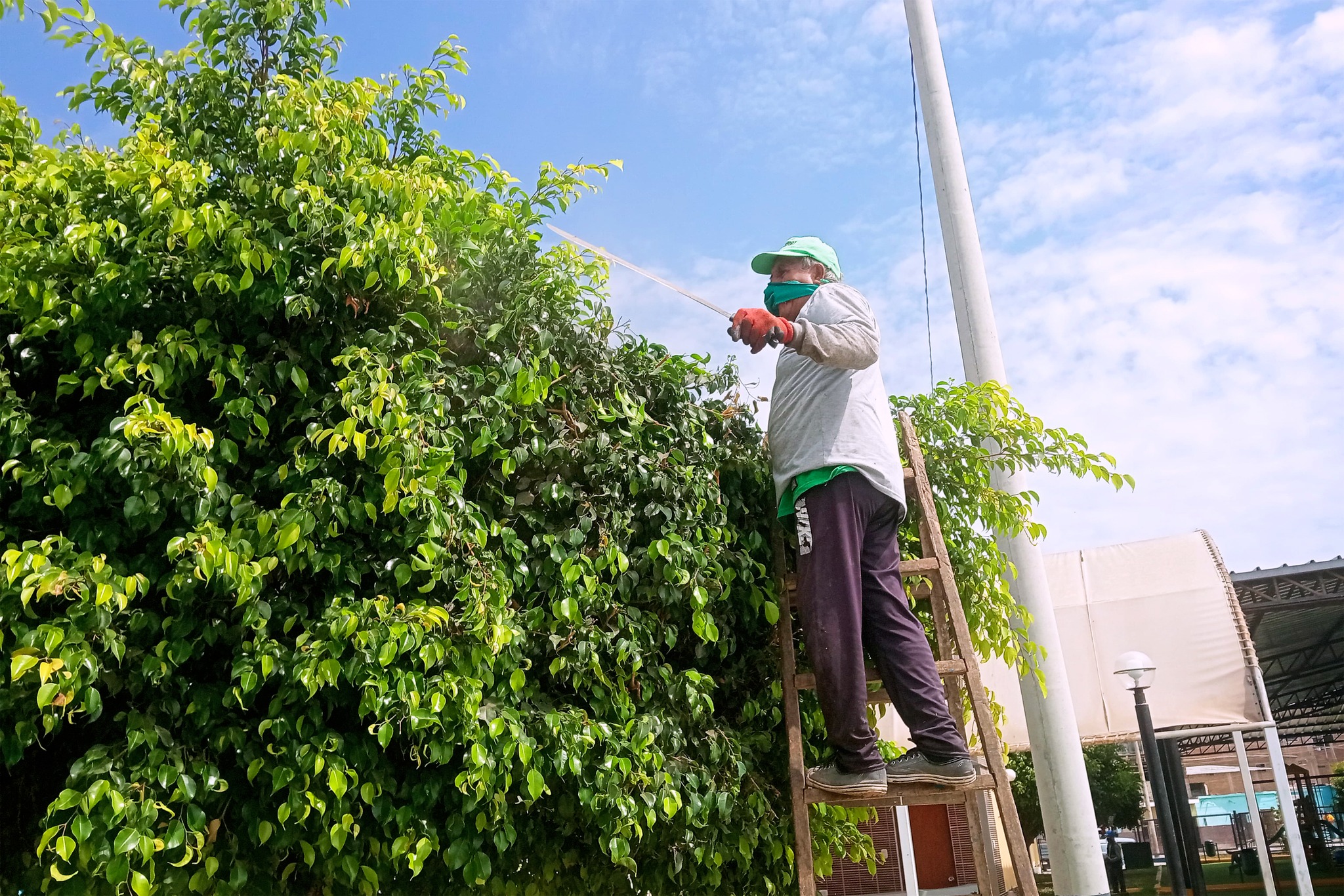 ¡Continuamos atendiendo nuestros Parques y Jardines!