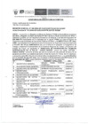 Vista preliminar de documento Registro Junta Directiva N° 113-2024