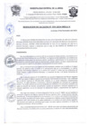 Vista preliminar de documento R.A N° 393-2024