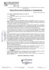 Vista preliminar de documento RCM24N729