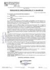Vista preliminar de documento RCM24N731