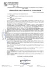 Vista preliminar de documento RCM24N732