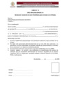 Vista preliminar de documento ANEXO 1