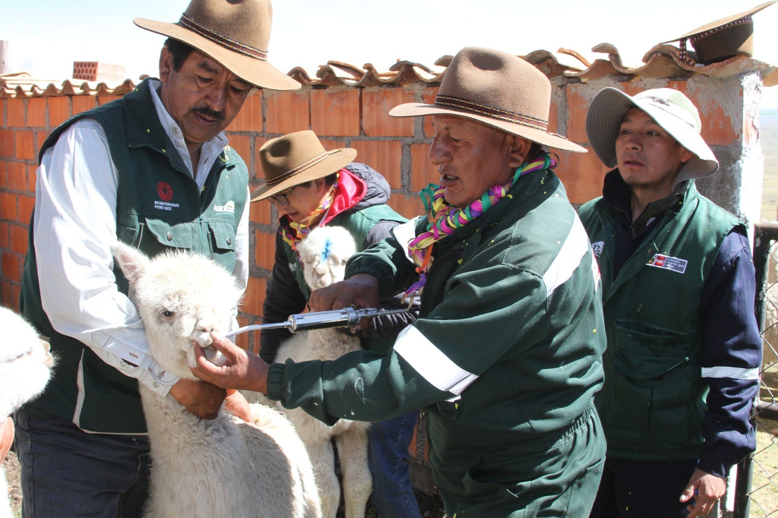 AGRO RURAL
