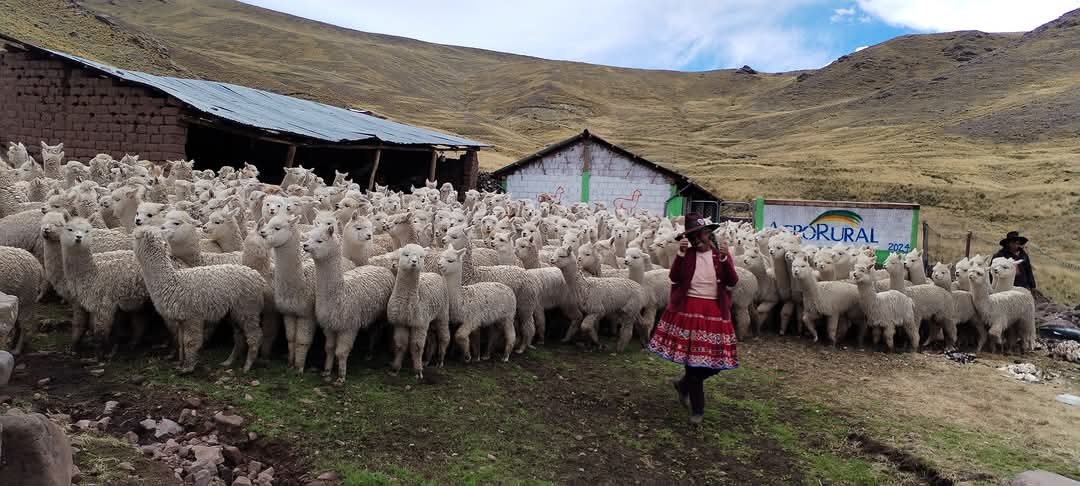 AGRO RURAL