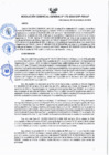 Vista preliminar de documento RESOLUCIÓN GERENCIAL GENERAL N° 172-2024/GRP-PEIHAP