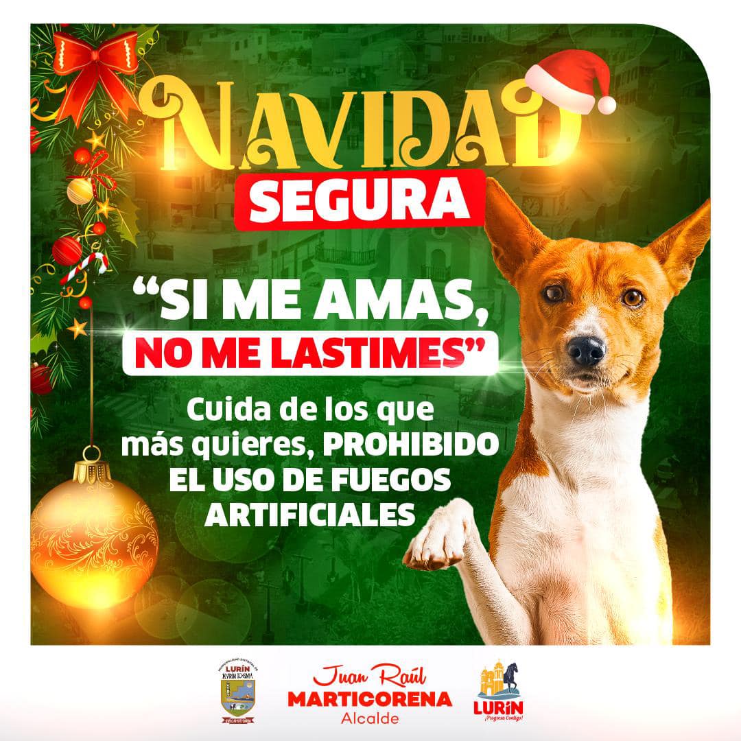 Archivo de JPG sobre una publicación del área de imagen