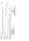 Vista preliminar de documento CMN-410