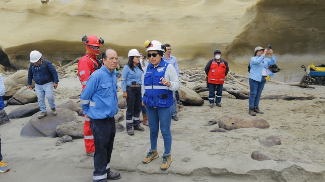 Ing Gaby Julca, directora DREM Piura, en la zona afectada de Las Capullanas