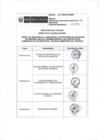 Vista preliminar de documento ANEXO 187-2024-IN-SG