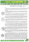 Vista preliminar de documento RADMIN 454 2024