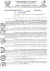 Vista preliminar de documento 4411