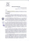 Vista preliminar de documento R.D 234-24-DG