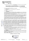 Vista preliminar de documento RCM24N737