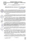 Vista preliminar de documento RDR 409-2024