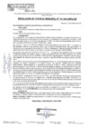 Vista preliminar de documento RCM24N741