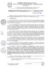 Vista preliminar de documento RDR 411-2024