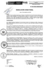 Vista preliminar de documento R.D.N.434-2024-INSN-DG