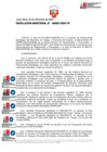 Vista preliminar de documento 207