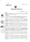 Vista preliminar de documento R.D. 955-2024