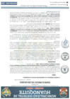 Vista preliminar de documento AC 91