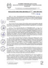 Vista preliminar de documento RDR 401-2024