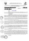 Vista preliminar de documento RD.4480-2024