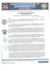 Vista preliminar de documento RGM 203