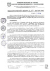 Vista preliminar de documento RDR 406-2024