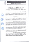 Vista preliminar de documento RD 921-2024