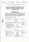 Vista preliminar de documento Comunicado 2 - Cronograma