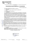 Vista preliminar de documento RCM24N779
