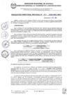 Vista preliminar de documento RDR 421-2024