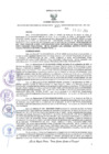 Vista preliminar de documento RES N°335-2024-DGC
