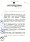 Vista preliminar de documento NP 011-2010 V1 Designación Organización y Funcionamiento de Comités Especiales