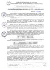 Vista preliminar de documento RDR 424-2024