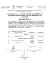 Vista preliminar de documento Comunicado 5 - cronograma