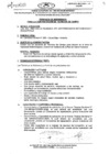 Vista preliminar de documento TDR