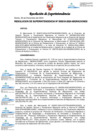 Vista preliminar de documento RESOLUCION DE SUPERINTENDENCIA-000216-2024-MIGRACIONES