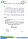 Vista preliminar de documento Resolucion de Alcladía Nro 256-2024-MPSM